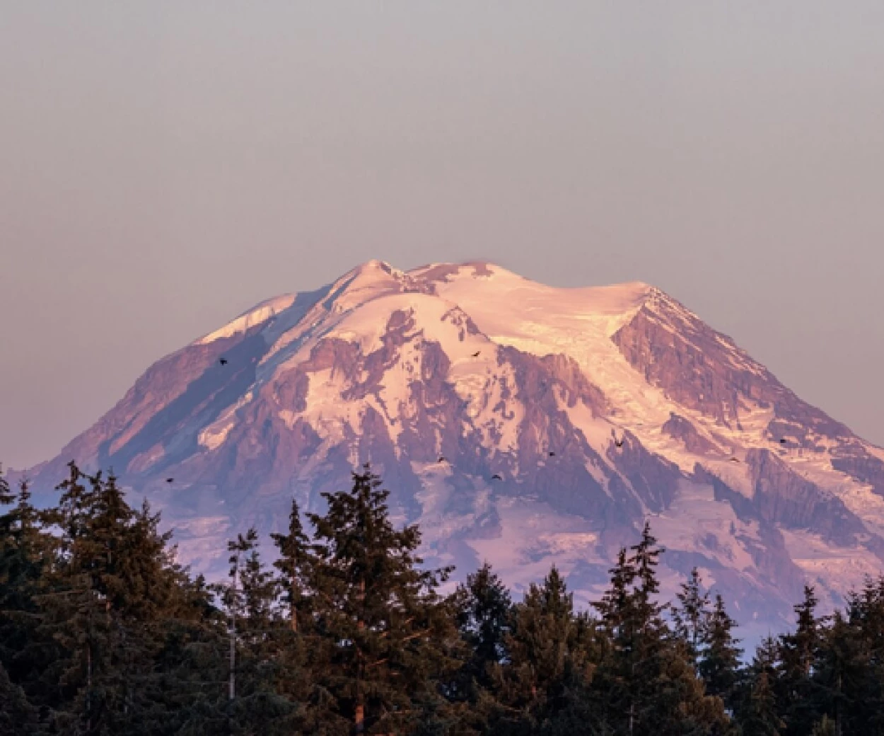 mt rainer view