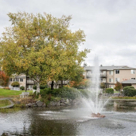 Untitled design - 2024-06-18T102931.266 (1)