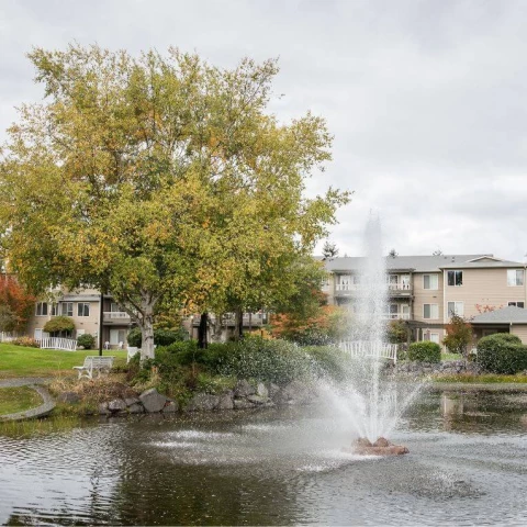 Untitled design - 2024-06-18T102931.266 (1)