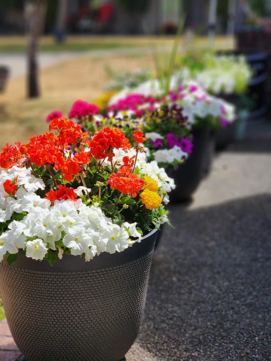 453067065_1085878126383122_1705155953398807263_n