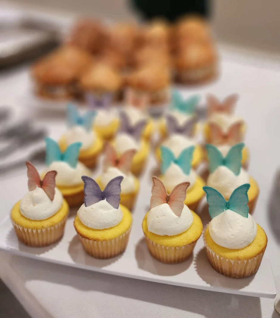 504091937_1322149499916329_8932100514313146125_n