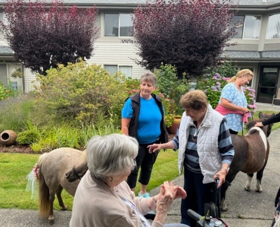 514906249_1292518342876889_7660434823233095598_n