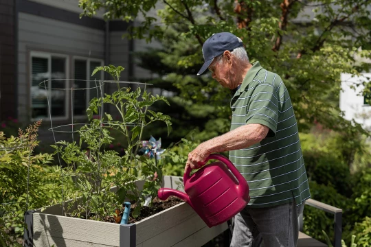  Village Concepts - El Dorado-2