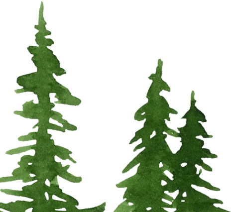 A couple evergreen trees.