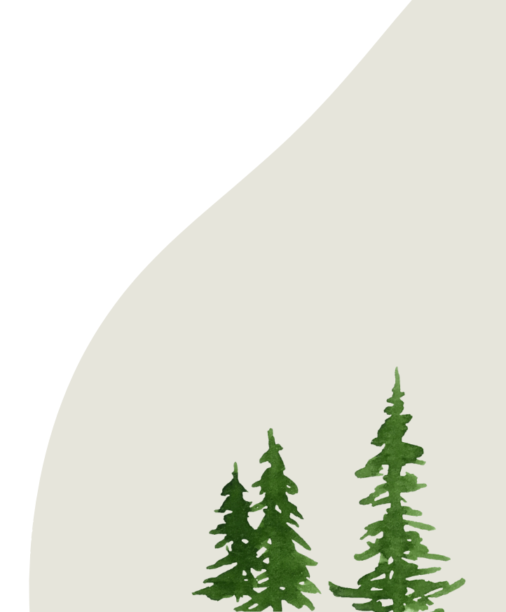 A couple evergreen trees with large background shape.