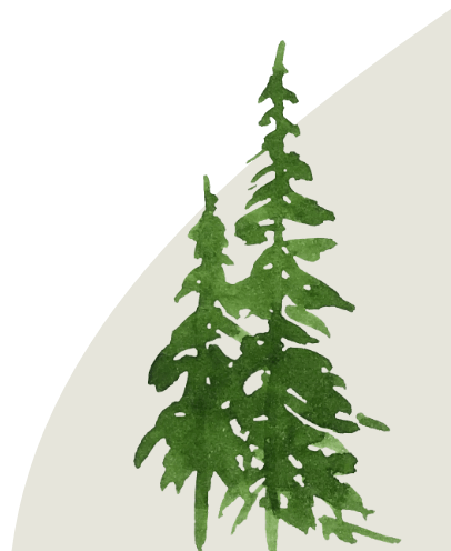 A couple evergreen trees with small background shape.